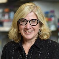 Mary Beth Terry, PhD Profile Headshot